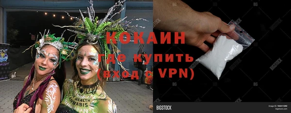 стафф Гусев