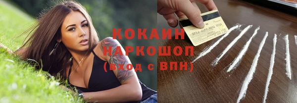 стафф Гусев