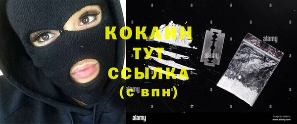 сатива Горнозаводск
