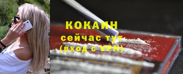 спайс Горняк