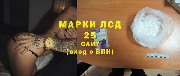 стафф Гусев