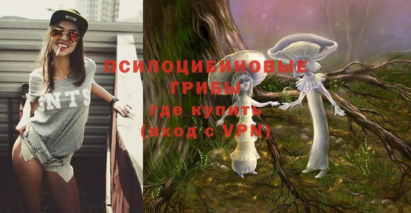 гашишное масло Гусиноозёрск