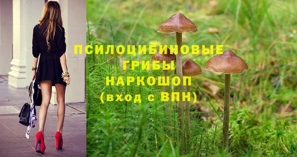гашишное масло Гусиноозёрск