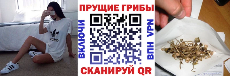 Галлюциногенные грибы мухоморы  мега ONION  Гуково 